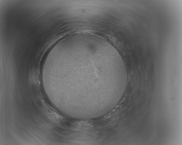 X0000075830146200609151247