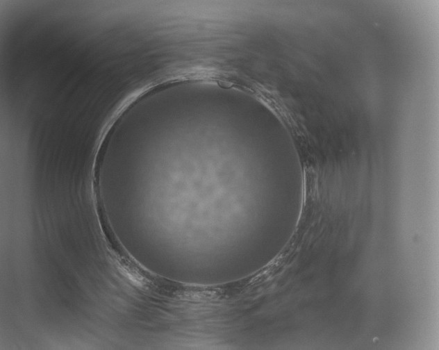 X0000075830147200609151247