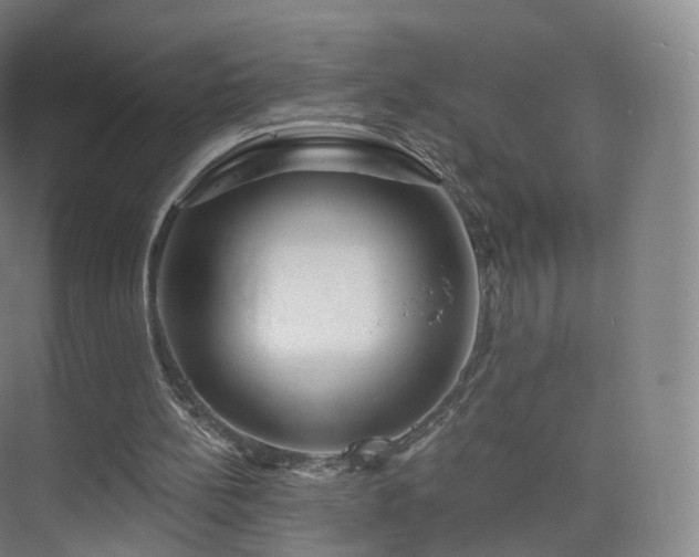 X0000075830148200609151247