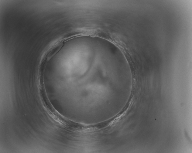 X0000075830149200609151247