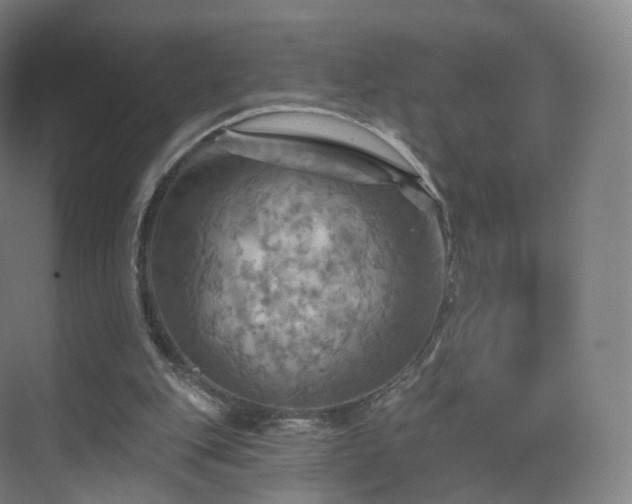 X0000075830151200609151247