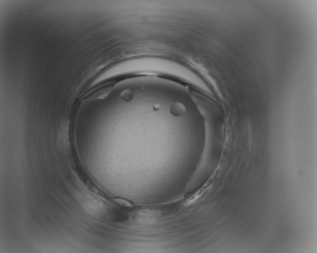 X0000075830154200609151247