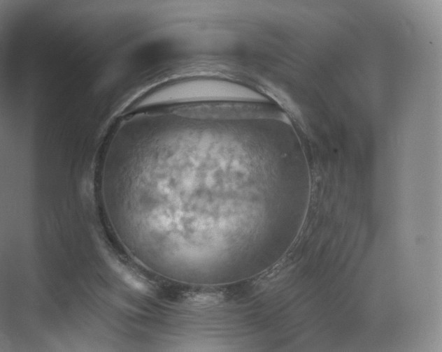 X0000075830155200609151247