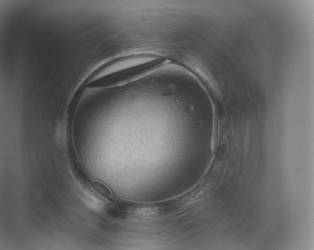 X0000075830156200609151247