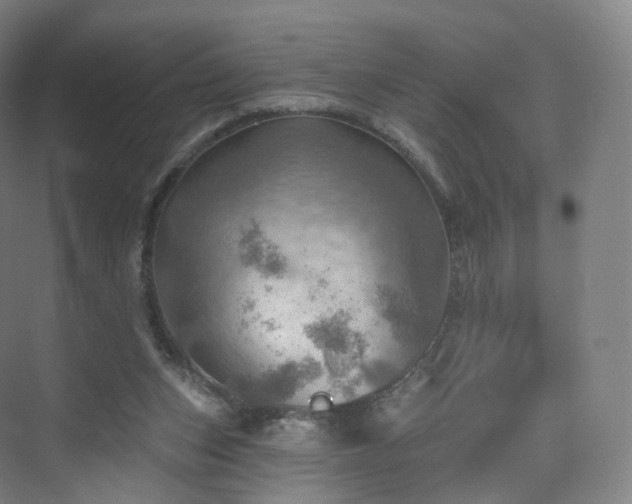 X0000075830159200609151247