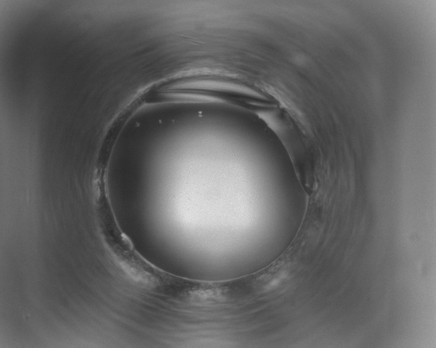 X0000075830160200609151247