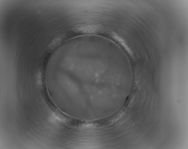 X0000075830161200609151247