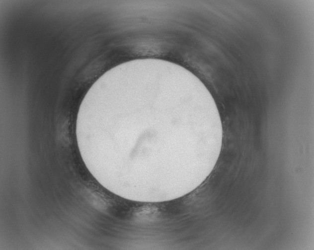 X0000075830162200609151247