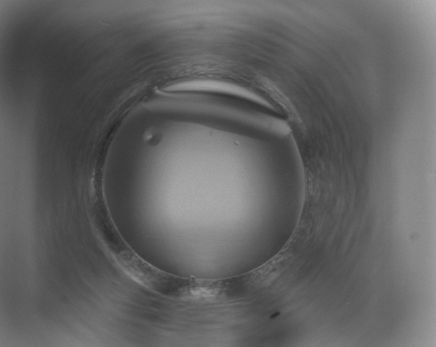 X0000075830163200609151247