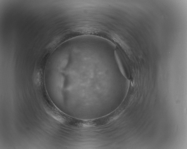 X0000075830165200609151248