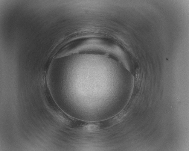 X0000075830168200609151248