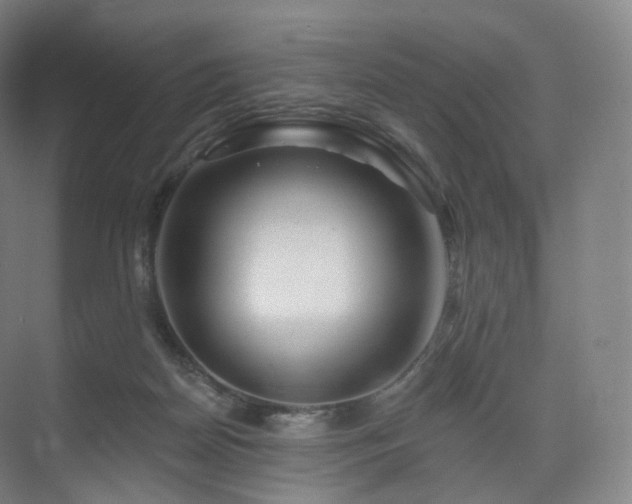 X0000075830170200609151248