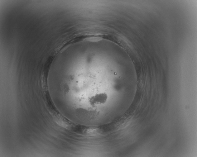 X0000075830173200609151248