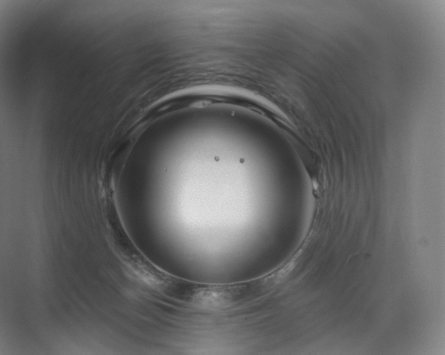 X0000075830174200609151248