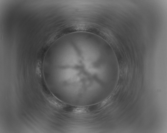 X0000075830175200609151248