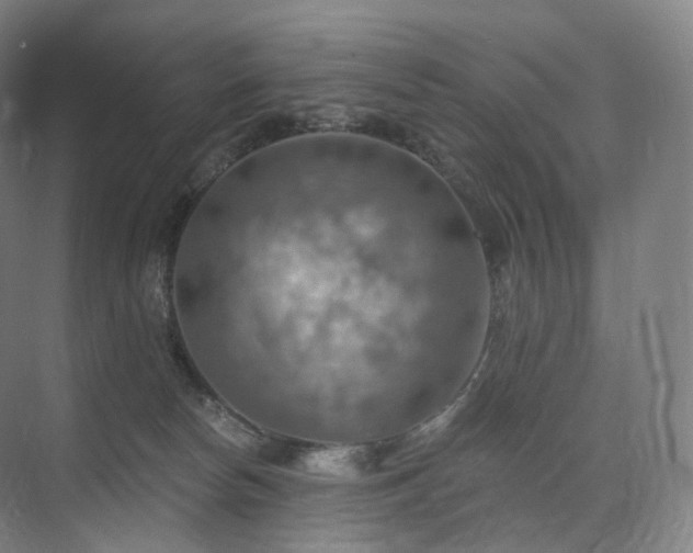 X0000075830178200609151248