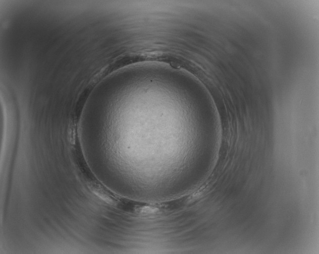 X0000075830180200609151248