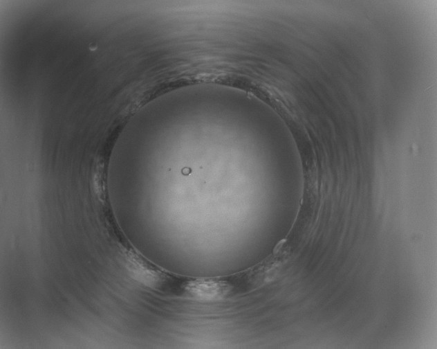 X0000075830181200609151248