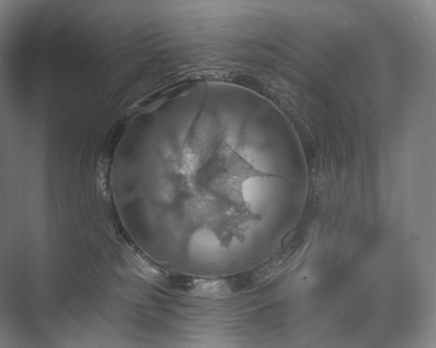 X0000075830185200609151248