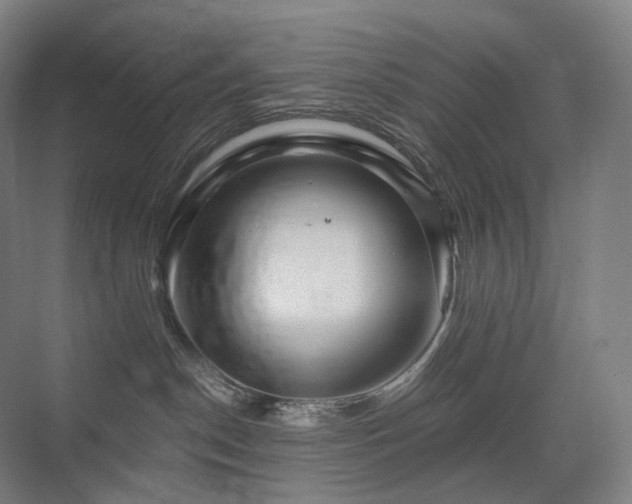 X0000075830190200609151248