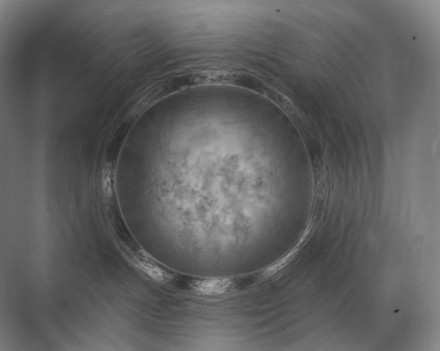 X0000075830191200609151248