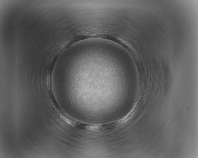 X0000075830192200609151248