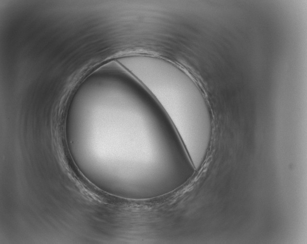 X0000075830193200609151247