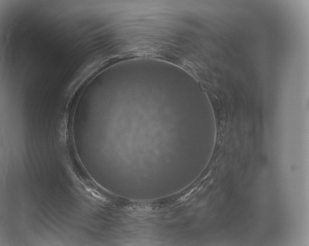 X0000075830194200609151247