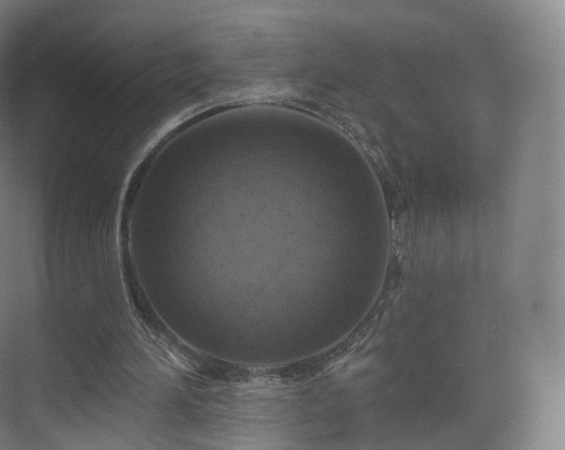 X0000075830196200609151247