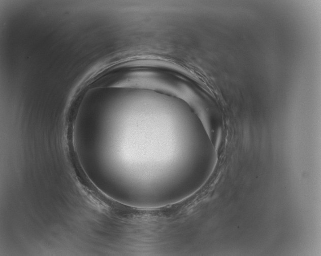 X0000075830197200609151247