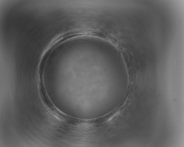 X0000075830198200609151247