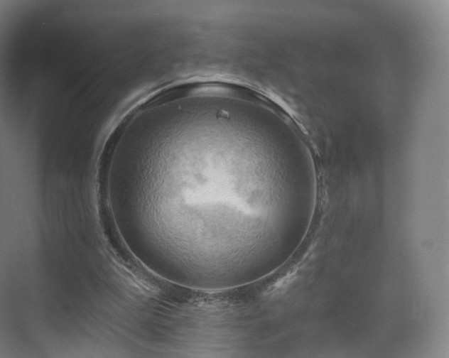 X0000075830199200609151247