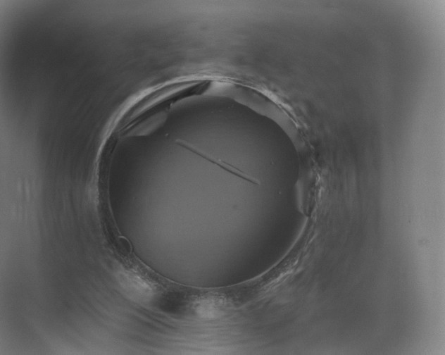 X0000075830200200609151247