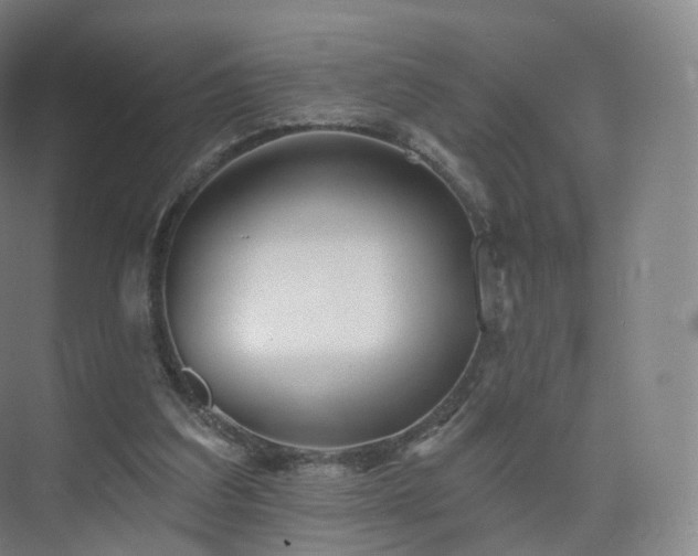 X0000075830203200609151247