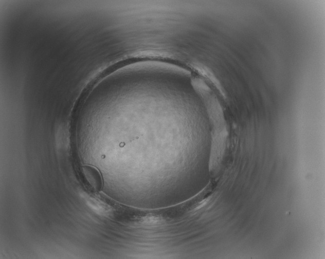 X0000075830204200609151247