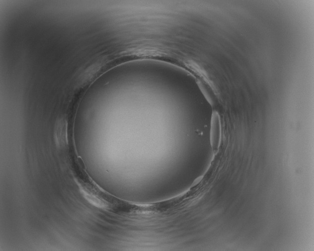 X0000075830205200609151247