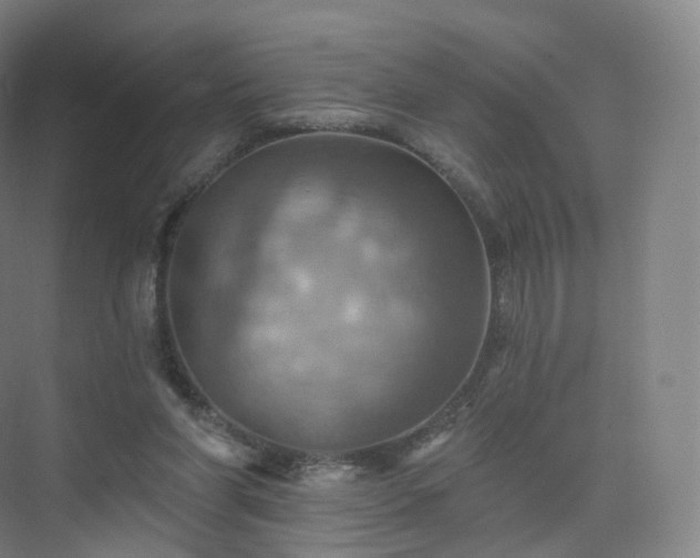 X0000075830206200609151247