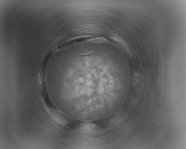 X0000075830210200609151247