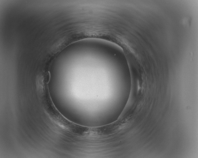 X0000075830211200609151247