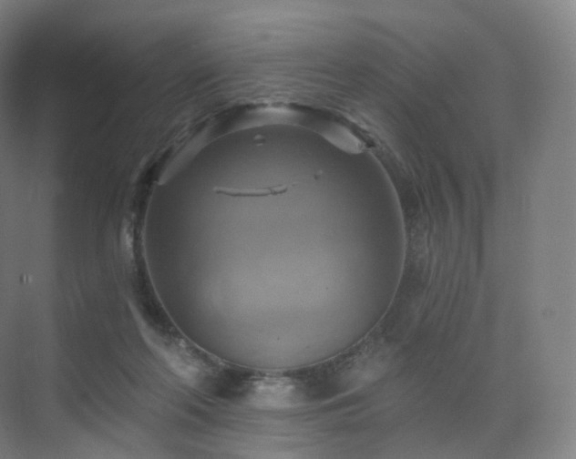 X0000075830214200609151247