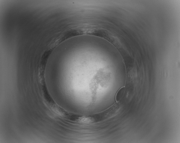 X0000075830218200609151247