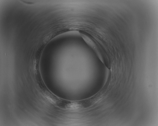 X0000075830219200609151247