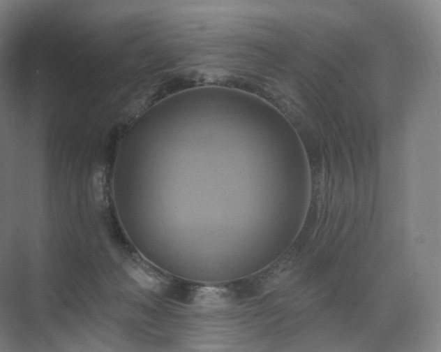 X0000075830222200609151247