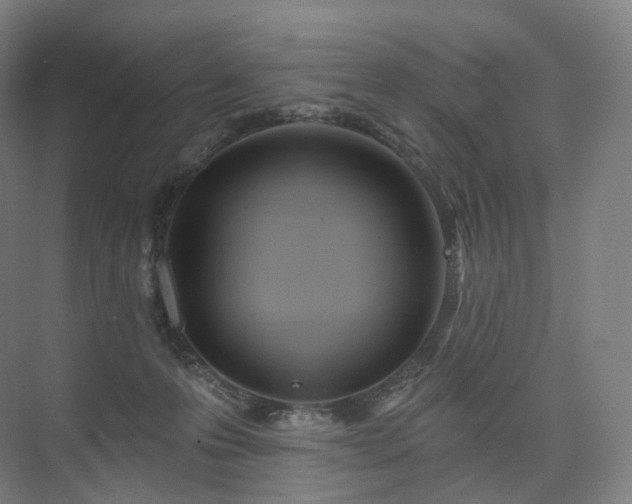 X0000075830223200609151247