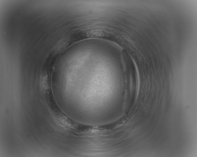 X0000075830224200609151247