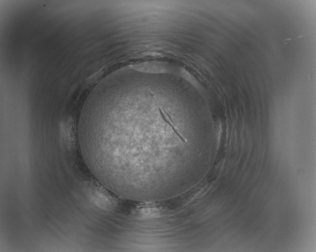 X0000075830228200609151247