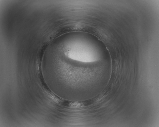 X0000075830230200609151247