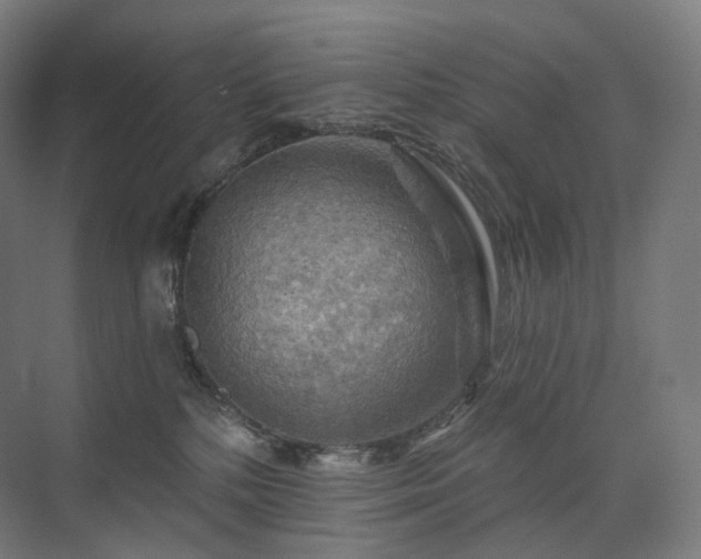 X0000075830232200609151246