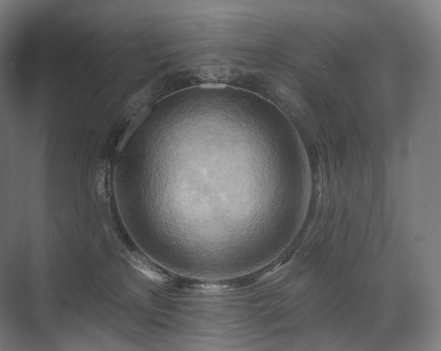 X0000075830233200609151246