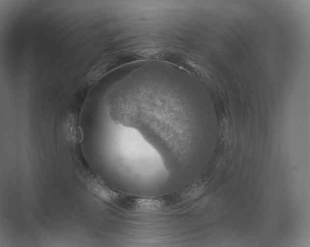 X0000075830234200609151246